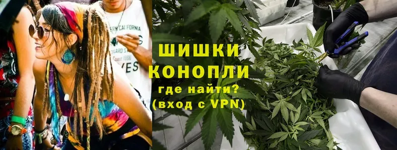 Каннабис Bruce Banner  Уяр 